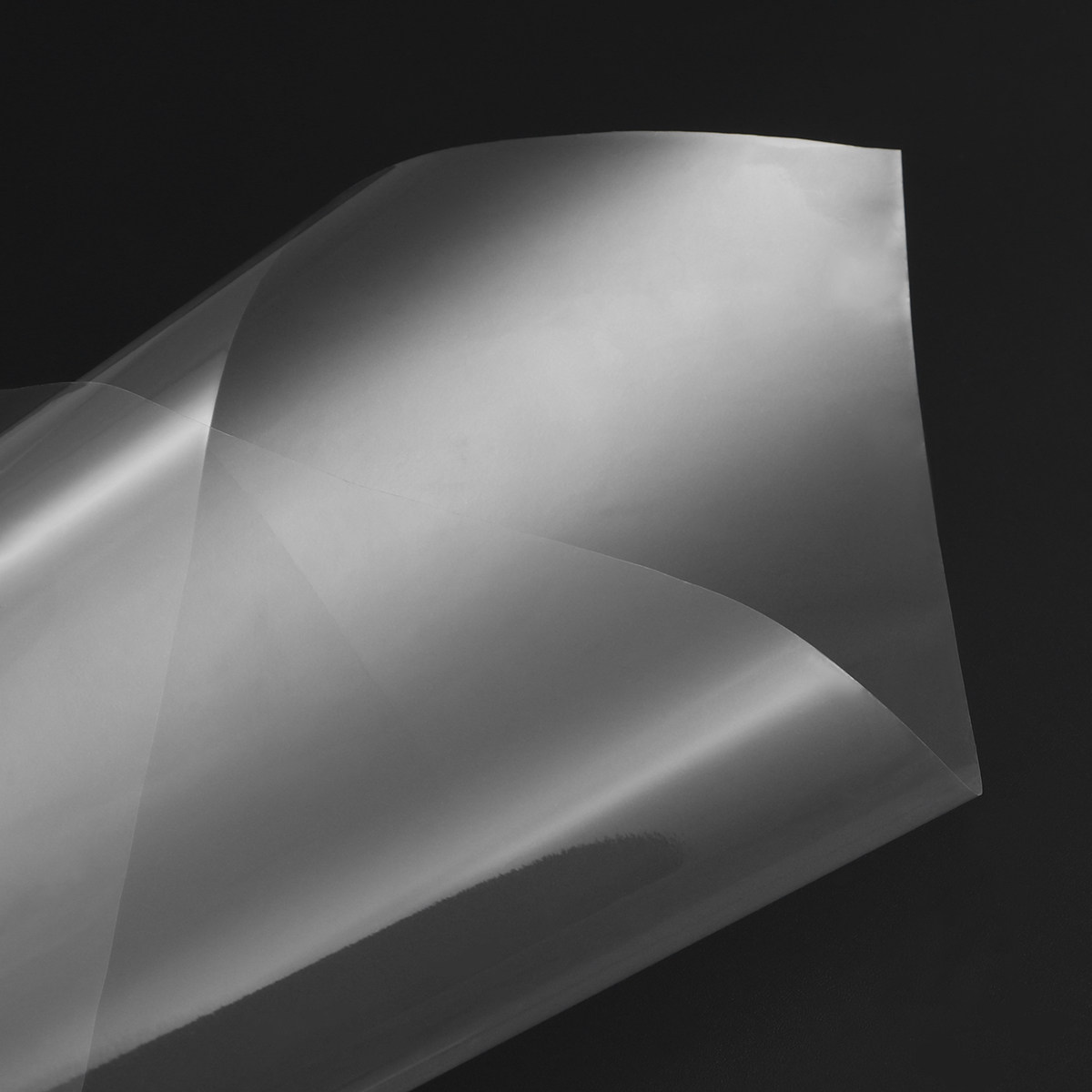Rolka przezroczystej folii cel – Cellophane Wrap Clear recenzja i cena